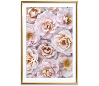 Ethereal Reveries Collection