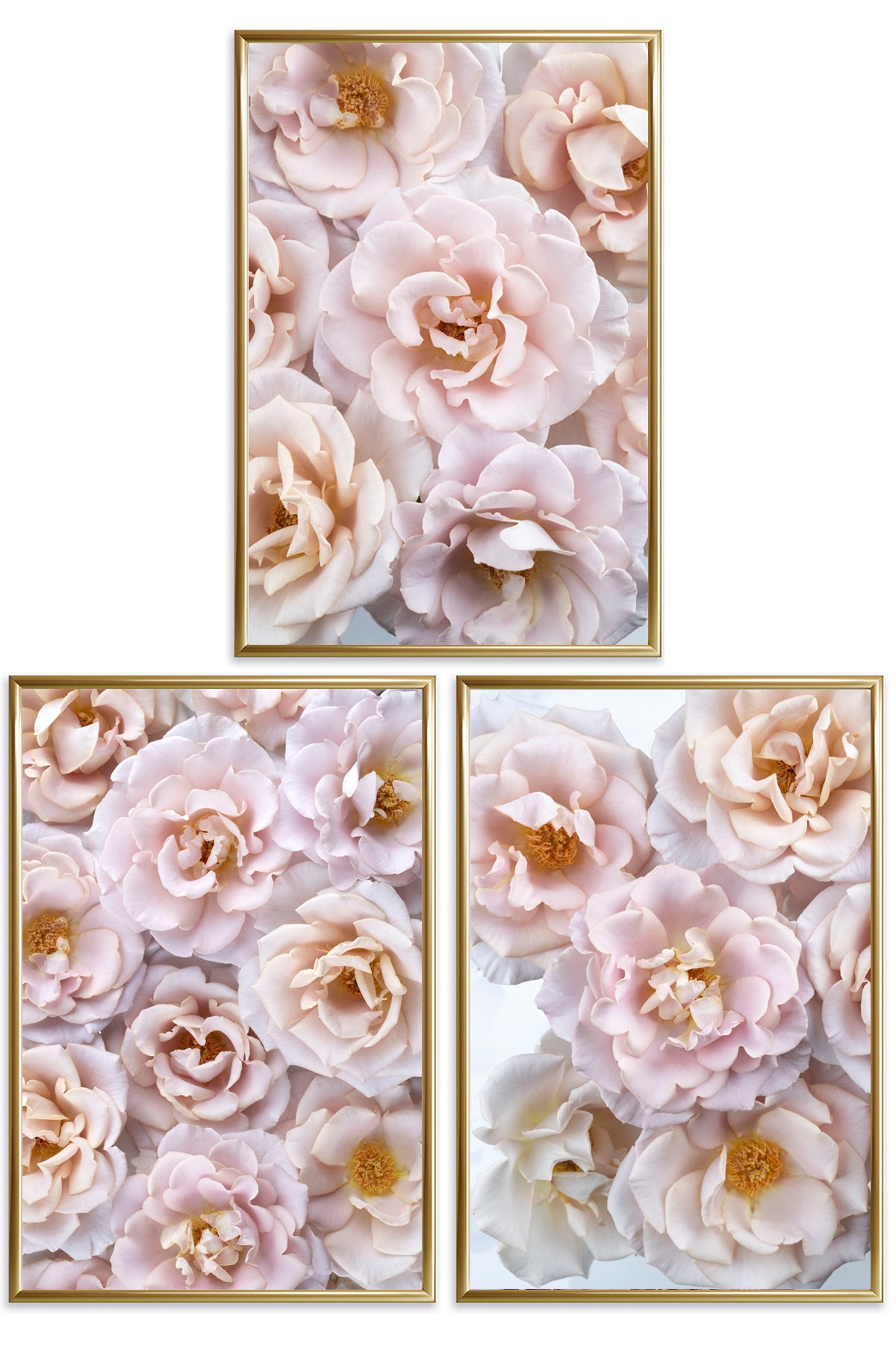 Ethereal Reveries Collection