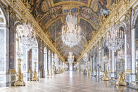 The Hall of Mirrors