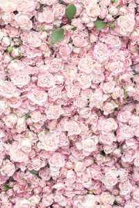 Paris in Blush Collection