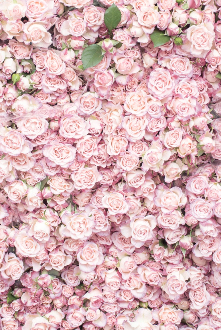 Paris in Blush Collection