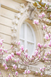 Paris in Blush Collection