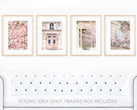 Paris in Blush Collection