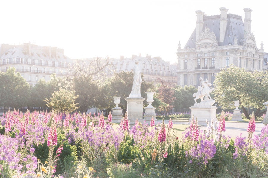 Sunrise in the Tuileries