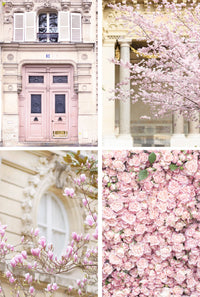 Paris in Blush Collection