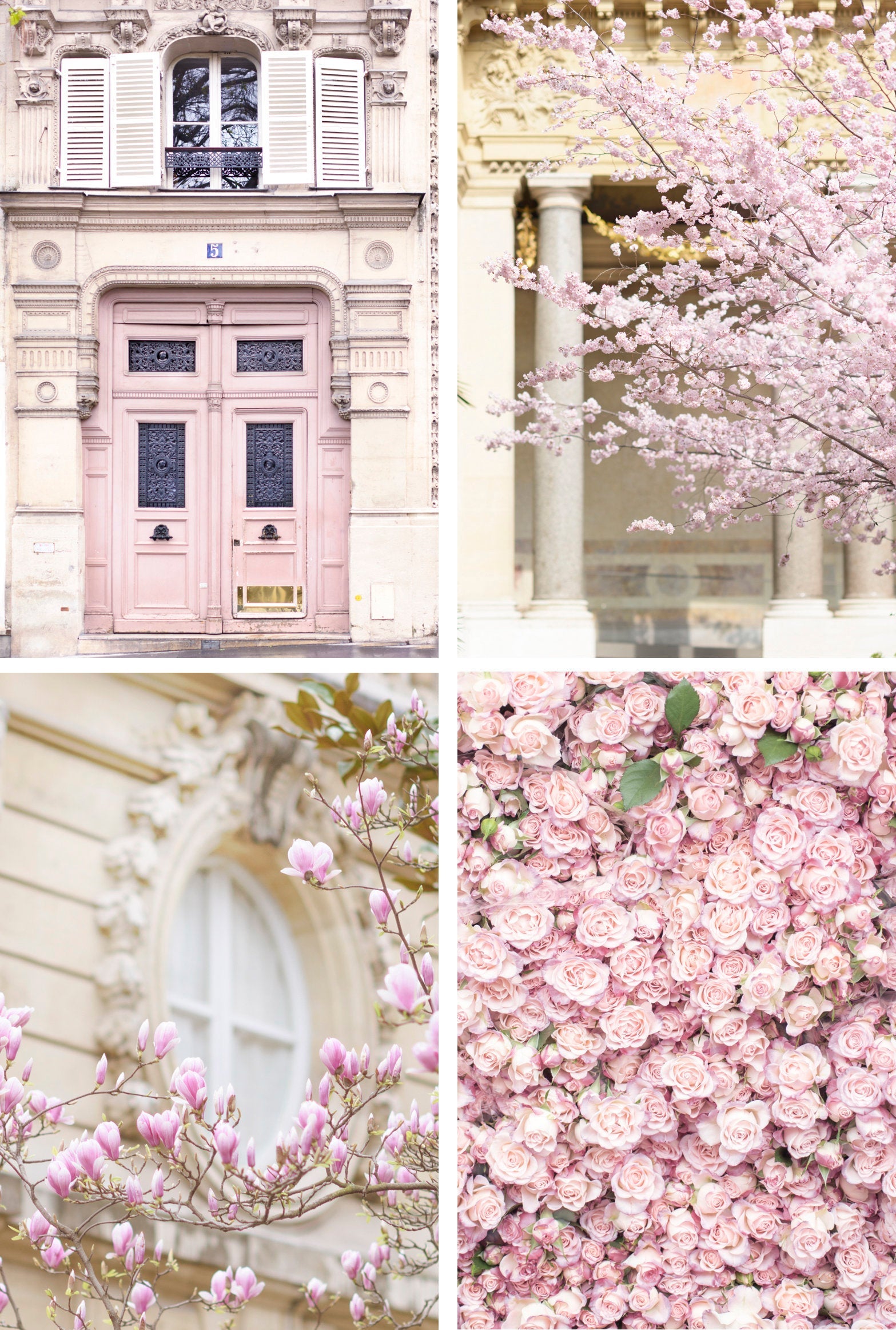 Paris in Blush Collection