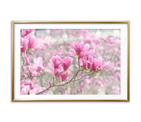 Parisian Magnolias