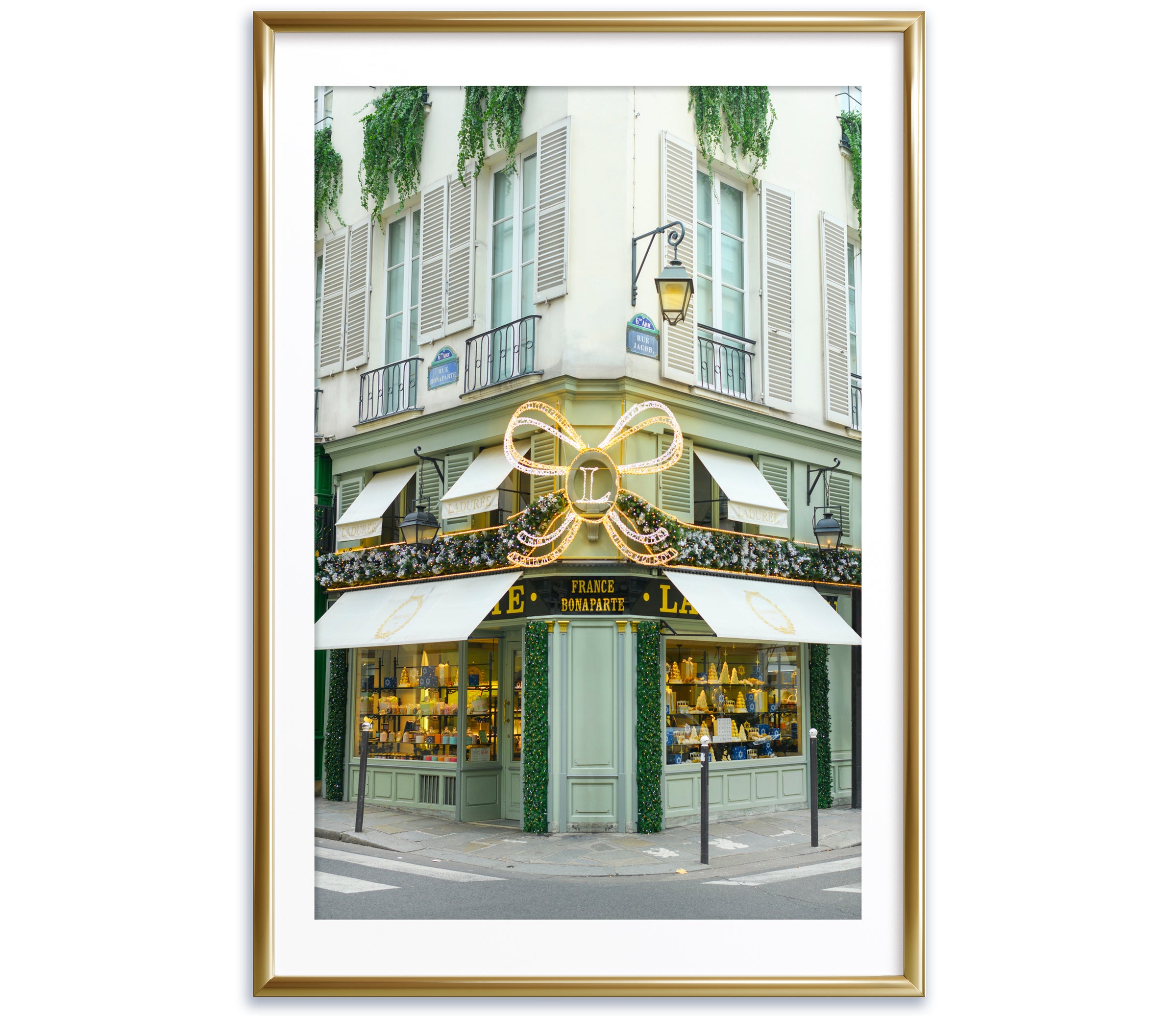 Laduree Bow on Rue Bonaparte, Paris