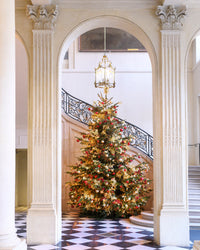 Christmas at the Rodin Museum