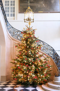 Holiday Tree at the Rodin Museum