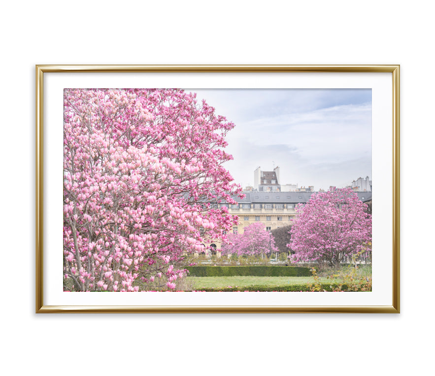 Magnolia Garden in Paris