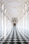 Galleria Grande, La Venaria Reale