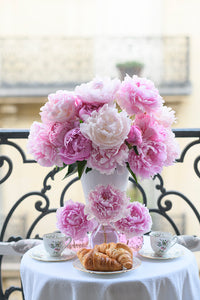 Belle Inspiration Print Collection