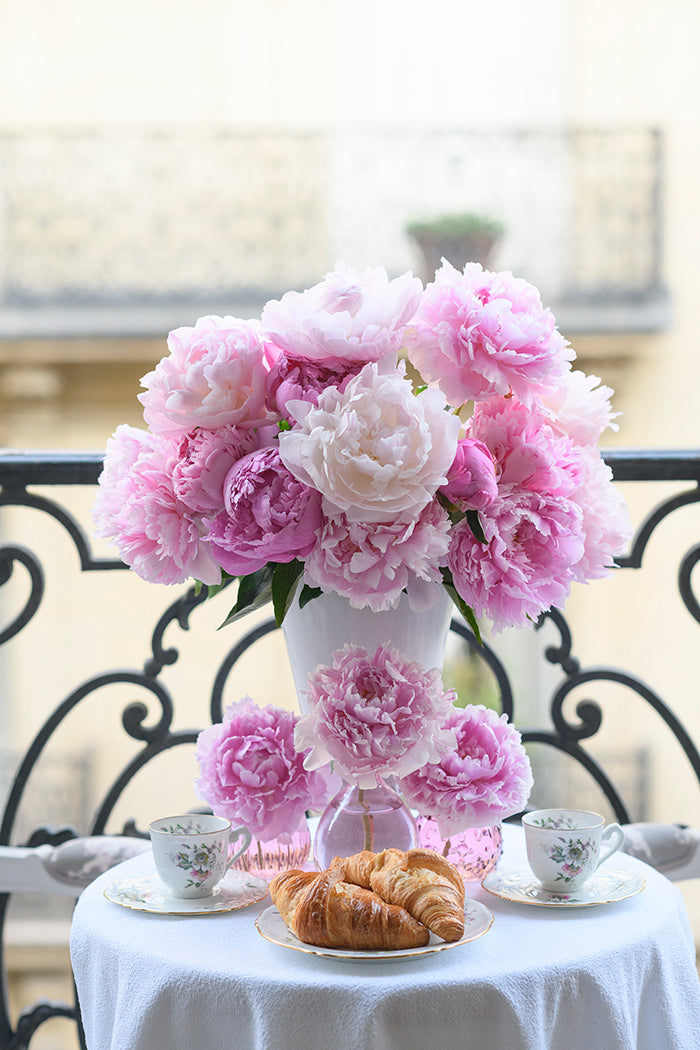 Belle Inspiration Print Collection