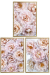 Ethereal Reveries Collection