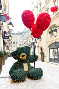 Holiday Bear in Paris