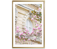 Magnolia Blossoms and Window