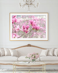 Parisian Magnolias