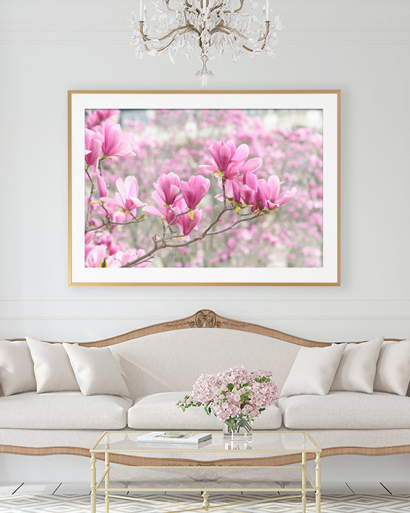 Parisian Magnolias