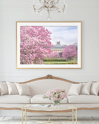 Magnolia Garden in Paris