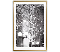 Twinkle Lights, Black and White