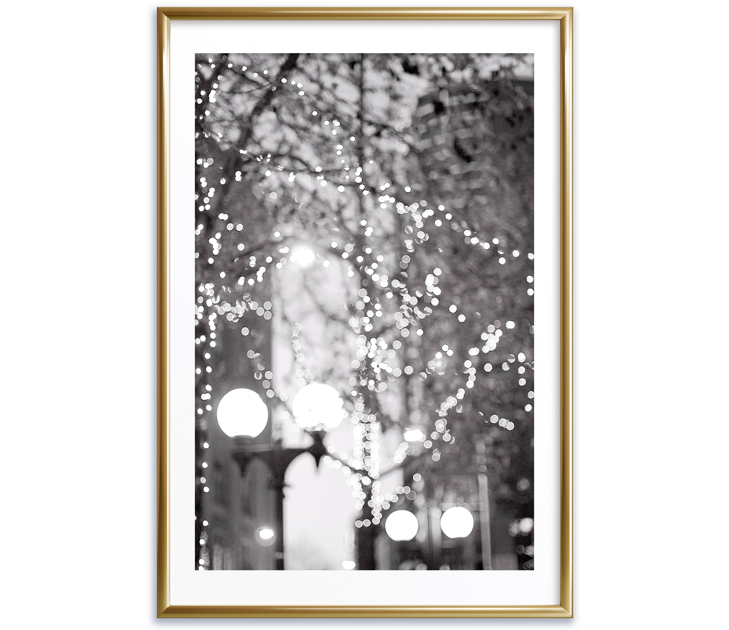 Twinkle Lights, Black and White