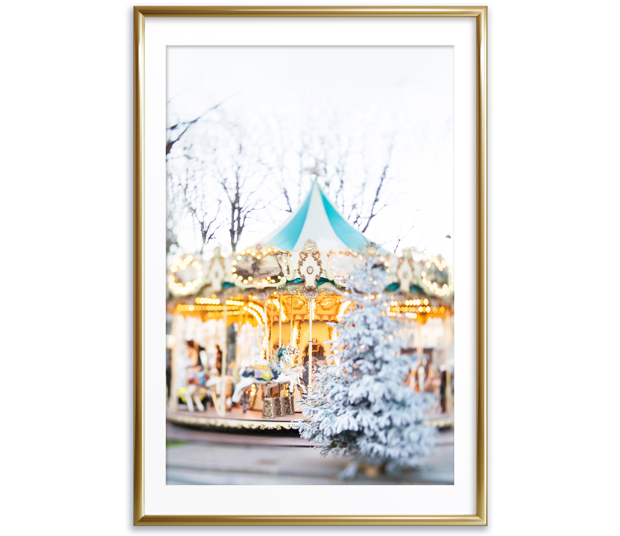 Winter Carousel in Paris