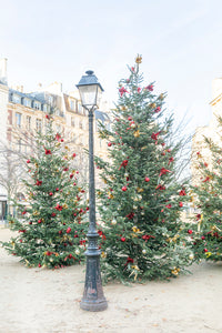 Holiday in Place Dauphine, Paris