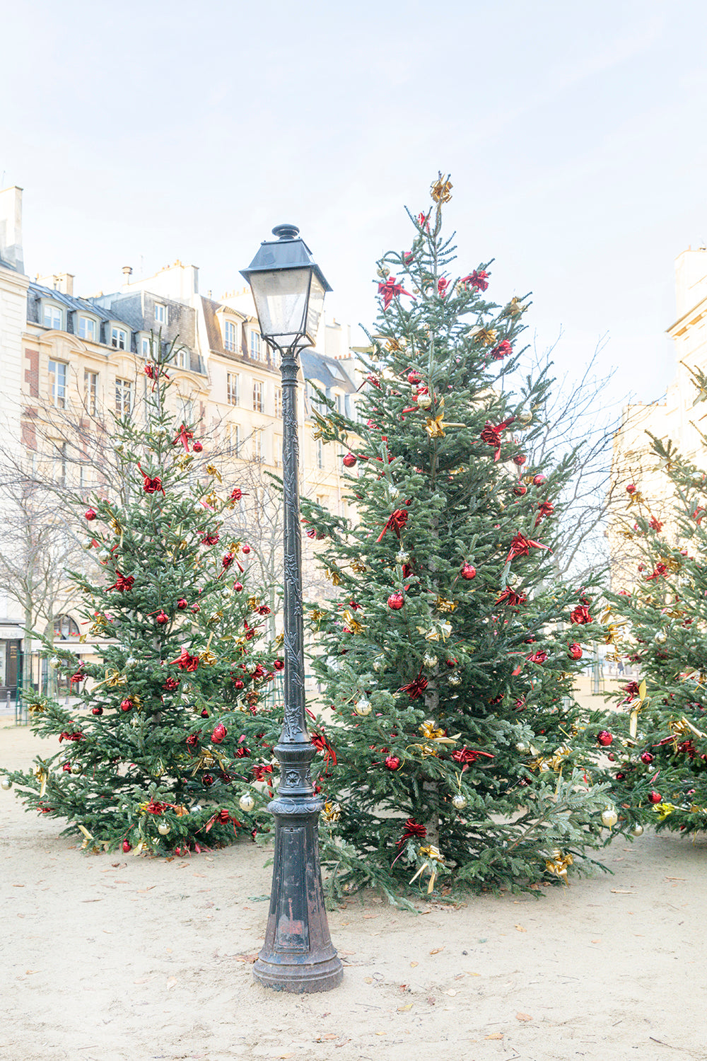 Holiday in Place Dauphine, Paris