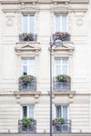 Kristy Wicks Paris Collection