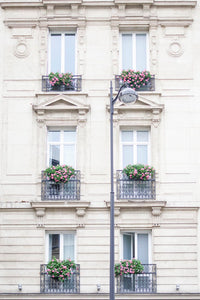 Kristy Wicks Paris Collection