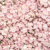 Flower Wall at the Sunday Market