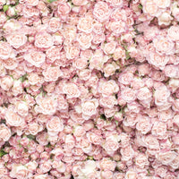 Flower Wall at the Sunday Market