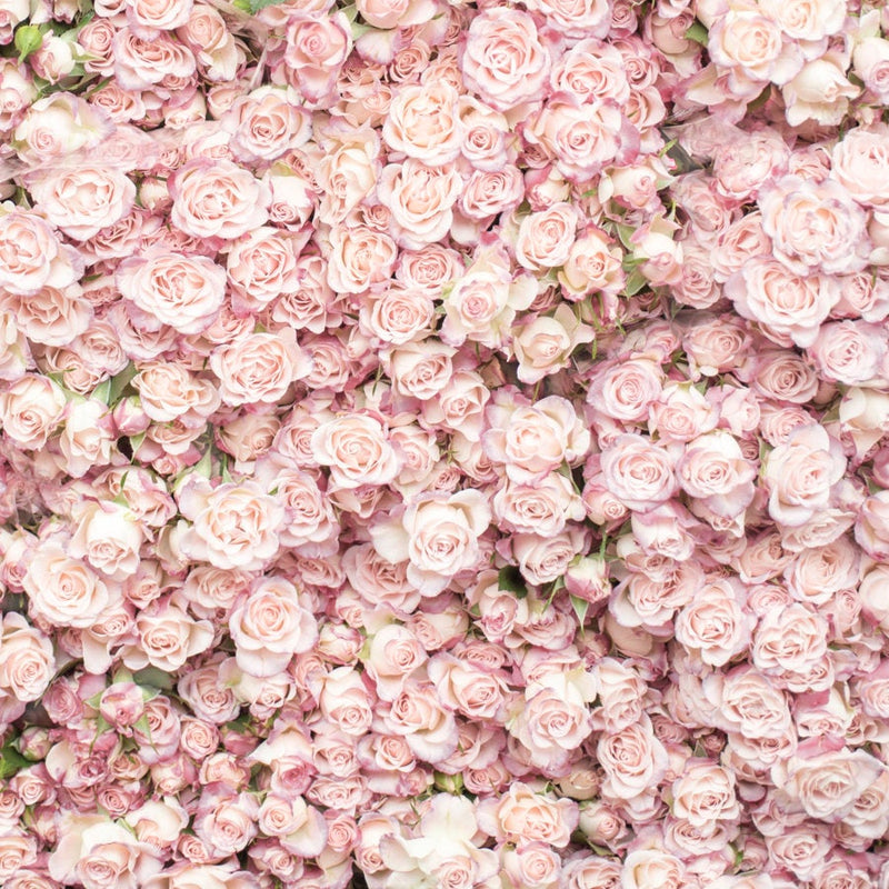 Flower Wall at the Sunday Market