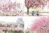 Paris Gardens in Spring