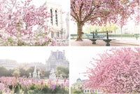 Paris Gardens in Spring