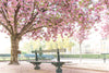 Paris Gardens in Spring