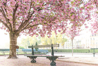 Paris Gardens in Spring