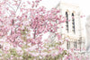 Paris Gardens in Spring