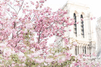 Paris Gardens in Spring