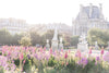 Paris Gardens in Spring