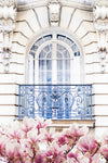 Magnolia Blossoms under a Parisian Balcony