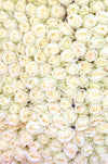 White Roses at the Marche