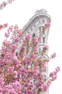 The New York Cherry Blossom Collection