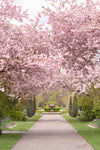 The London Spring Collection