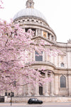 The London Spring Collection