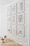 Kristy Wicks Paris Collection