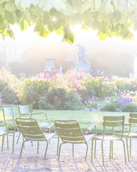 Misty Dawn in the Tuileries