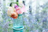 Summer Garden