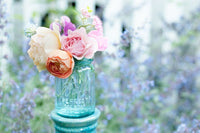 Summer Garden